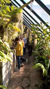 mostra mercato giardinaggio