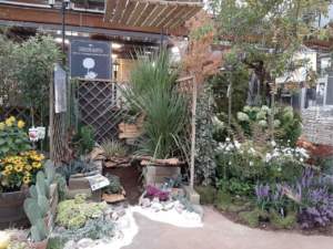 Garden Festival d'Autunno