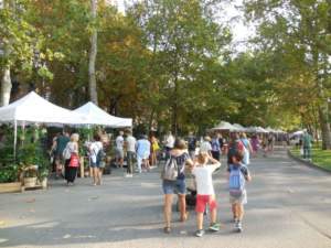 mostre mercato