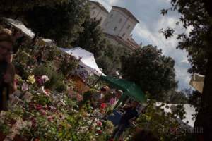 mostre mercato