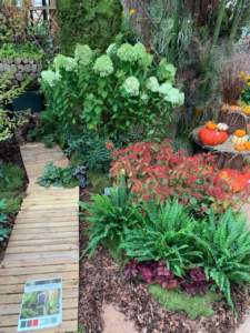 Garden Festival d'Autunno