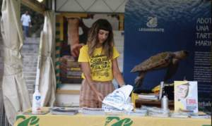 mostre mercato