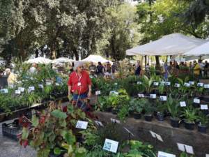 mostre mercato