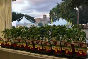 mostre mercato