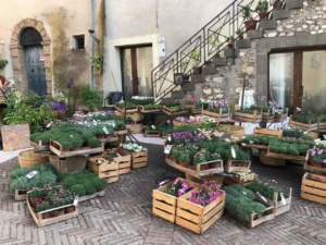 mostra mercato