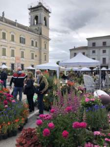 mostra mercato
