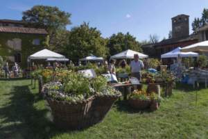 mostre mercato