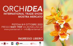 mostra mercato