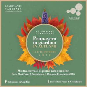 mostra mercato