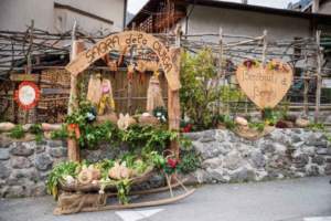 mostra mercato