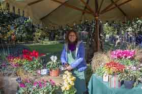mostre mercato