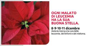 mostra mercato