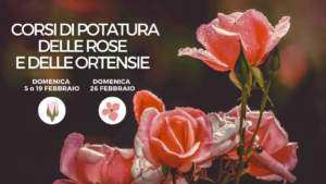 mostra mercato