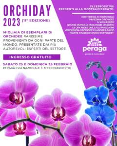 mostra mercato