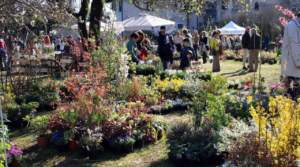 mostra mercato