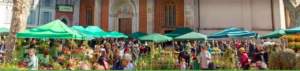 mostre mercato