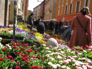 mostra mercato