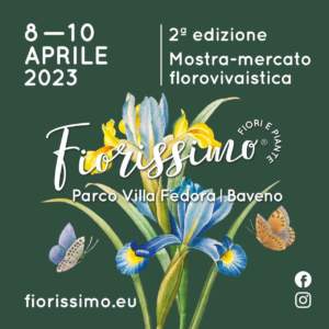 mostra mercato