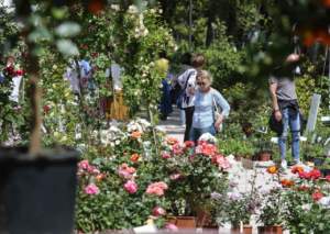 mostra mercato