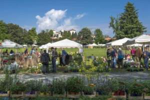 mostra mercato