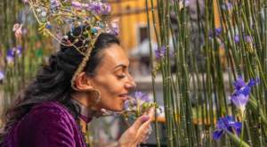 mostra mercato