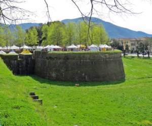 mostre mercato