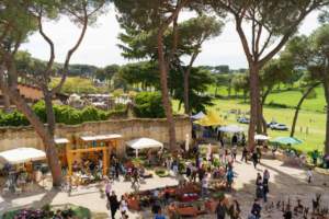 mostra mercato