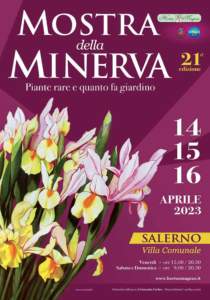 mostra mercato