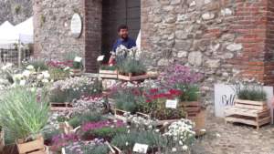 mostre mercato