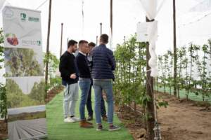 mostre mercato