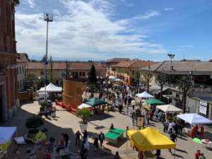 mostre mercato