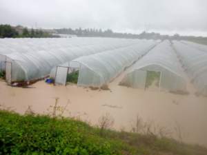 alluvione