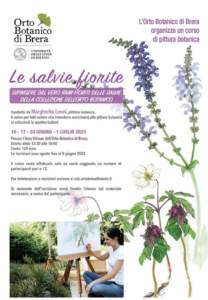 mostra mercato