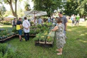 mostre mercato