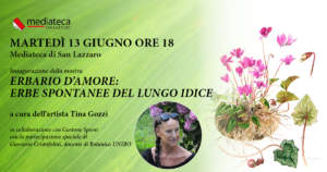 mostre mercato