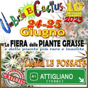mostre mercato
