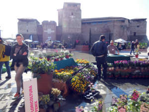 mostre mercato