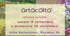 mostre mercato