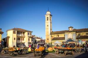 mostre mercato