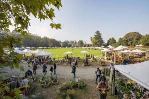 mostre mercato