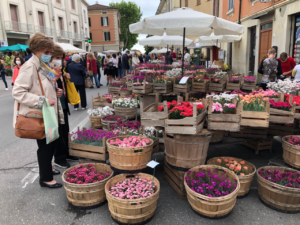 mostre mercato