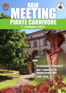 mostra mercato