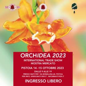 mostre mercato