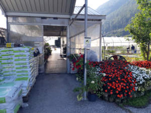 floricoltura
