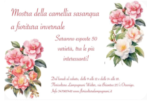mostra mercato