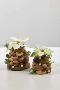 natale stelle