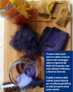 libro colora tessuti piante