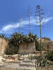 Giardino dell'Impossibile
