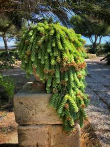 Giardino dell'Impossibile