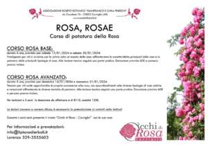 mostre mercato